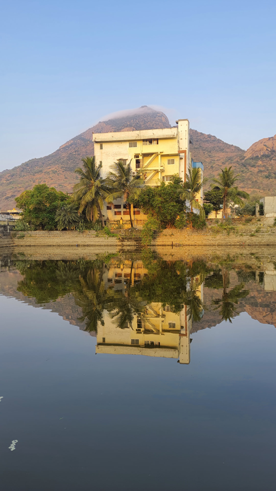 Village building, palm trees, and a hill reflected in still water